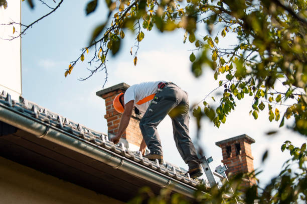 Best Roof Leak Repair  in Oakley, UT
