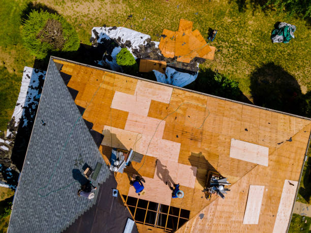 Best Roof Leak Repair  in Oakley, UT
