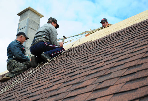 Professional Roofing Contractor in Oakley, UT